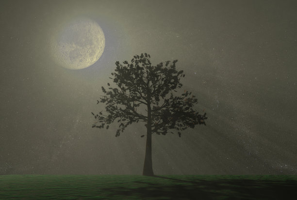 月亮背景下的夜晚树图片下载