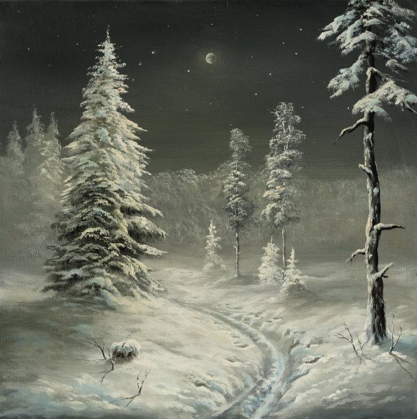 明星的冬夜图片下载