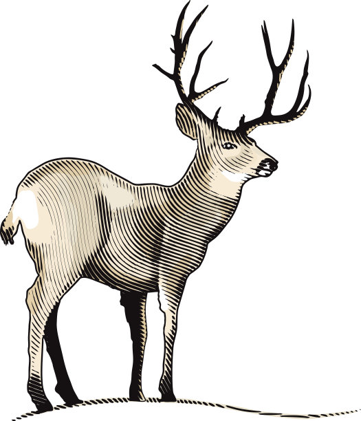 鹿雕刻图片下载