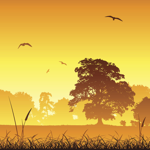 草甸景观图片下载