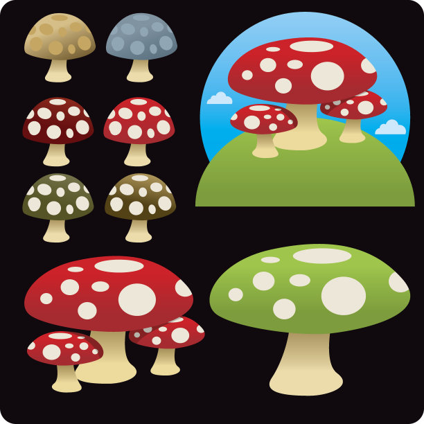 毒菌和蘑菇图片下载