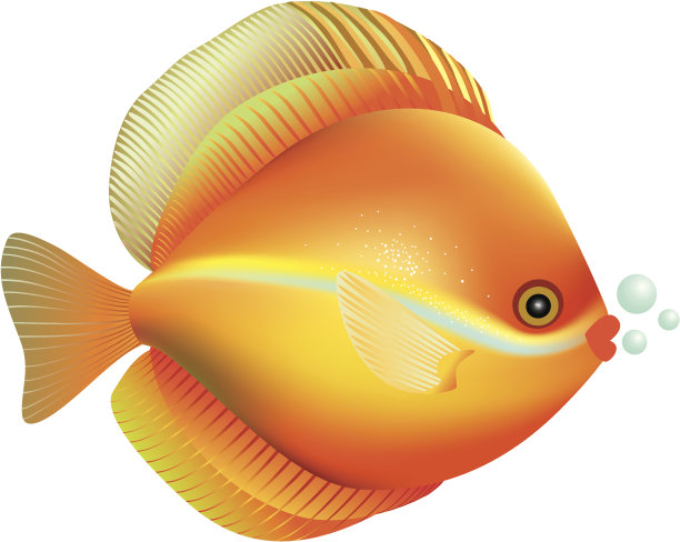 热带鱼图片下载