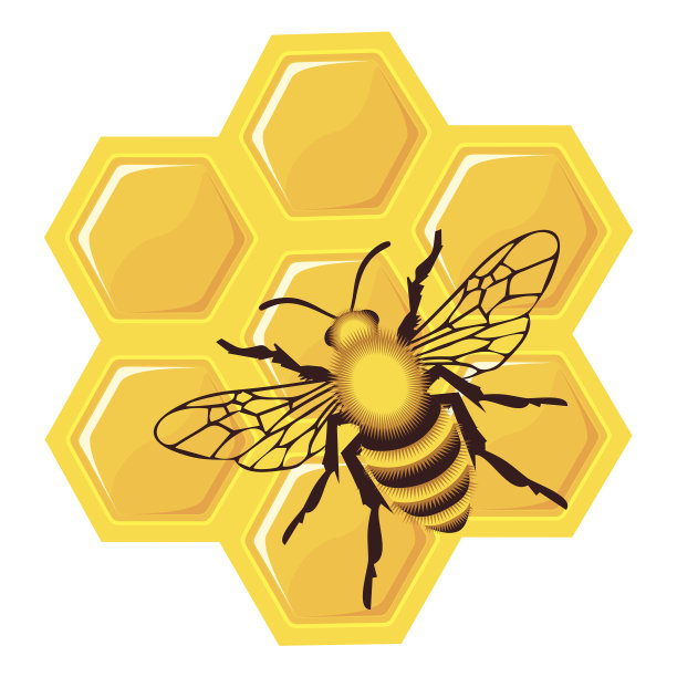 蜂房上的蜜蜂图片下载
