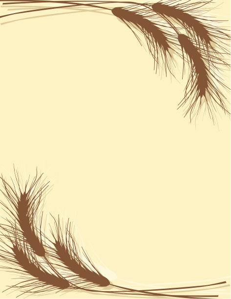 小麦背景轮廓图片下载