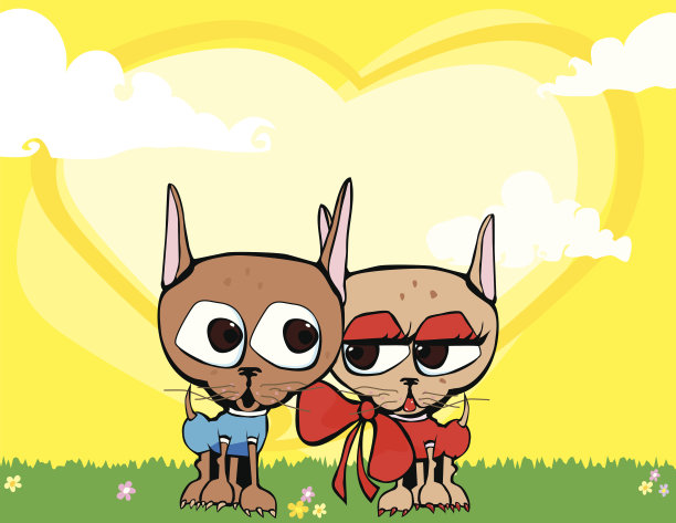 吉娃娃犬恋爱了!图片下载