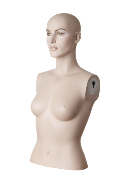 女性人体模型躯干|工作室隔离图片下载