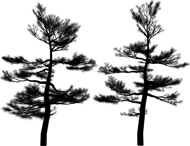 波多卡普斯纳吉图片下载