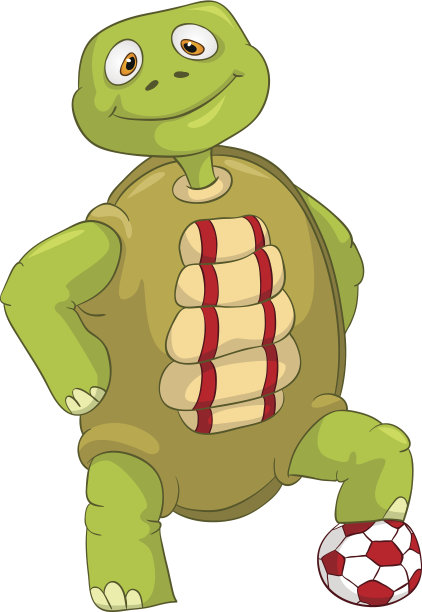 有趣的海龟图片下载