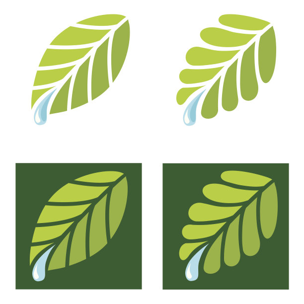 绿叶集图片下载