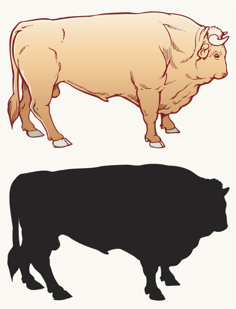 公牛队图片下载