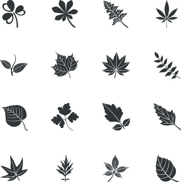 叶子形状剪影图标图片下载