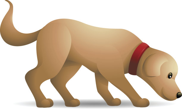 拉布拉多:嗅探图片下载