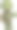 乌龟:竖起两个大拇指!图片下载