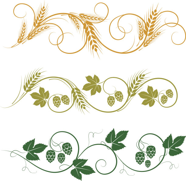 小麦和啤酒花装饰品图片下载