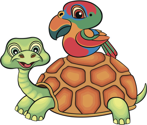 海龟和parot图片下载