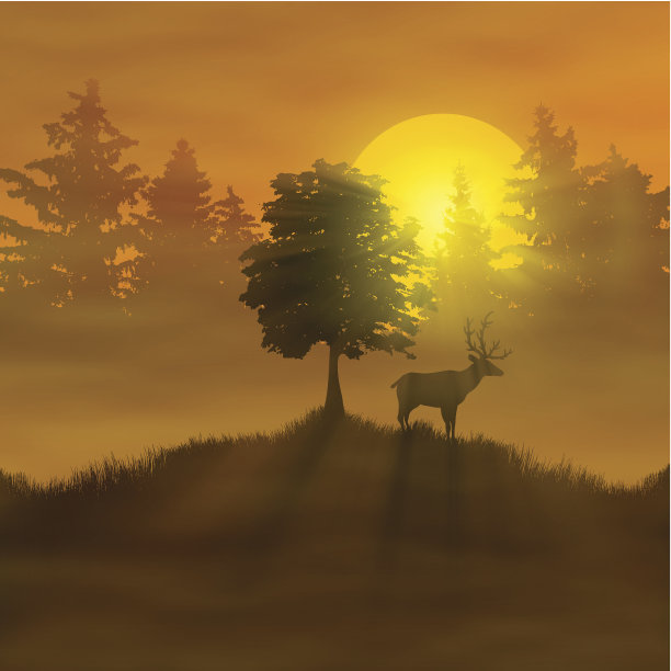 森林里的鹿图片下载