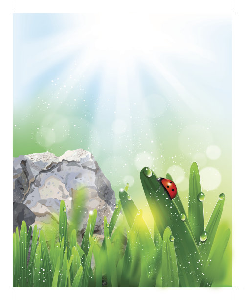 绿草上的瓢虫图片下载