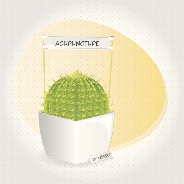 仙人掌图片下载