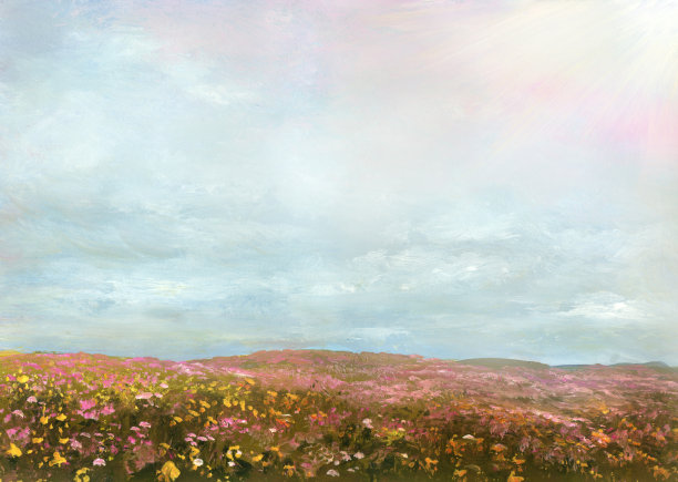 夏天盛开的草地图片下载