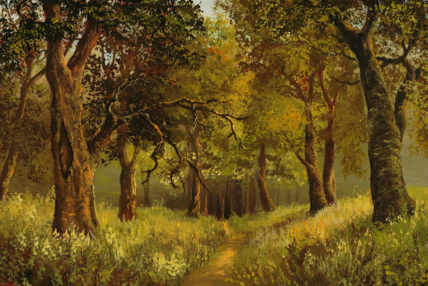 树林深处的小径图片下载