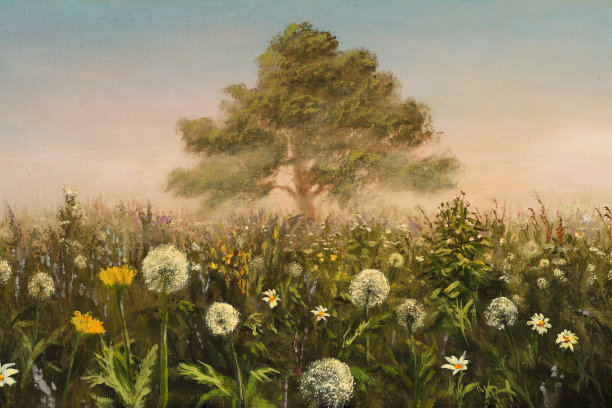 上午场图片下载