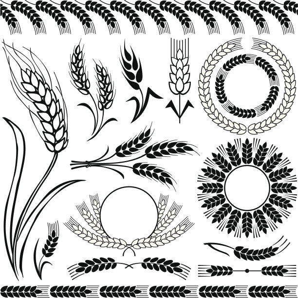 轮廓的小麦图片下载