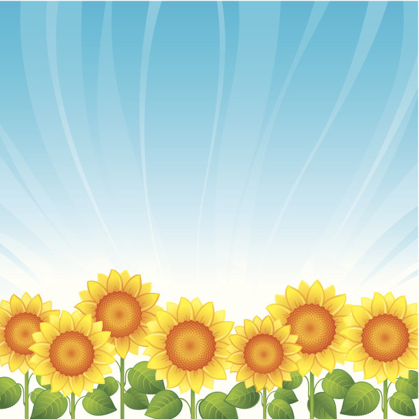 向日葵图片下载