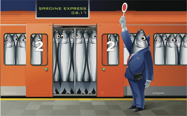 沙丁鱼表达图片下载