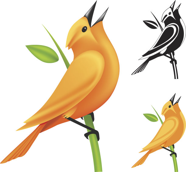 可爱的橙色Songbird图片下载