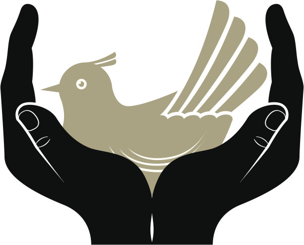 鸟的情人图片下载