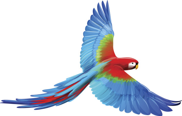 一只展开翅膀的卡通金刚鹦鹉素材图片