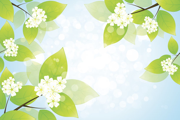 绿色的树叶图片下载