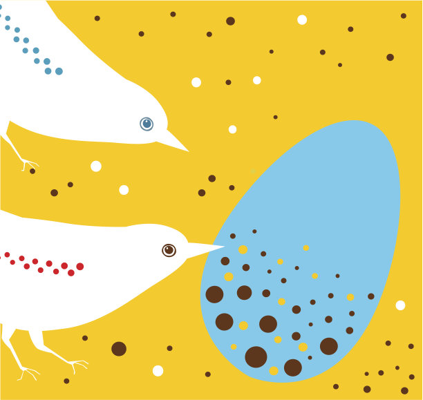 鸟妈妈和鸟爸爸在看他们的奇怪的蛋图片下载