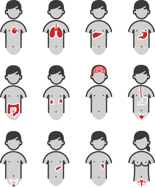人体器官图片下载