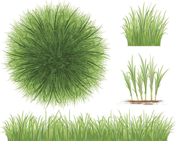 草集合图片下载