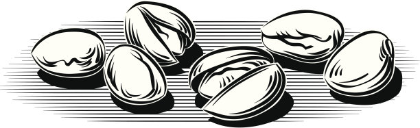 开心果图片下载