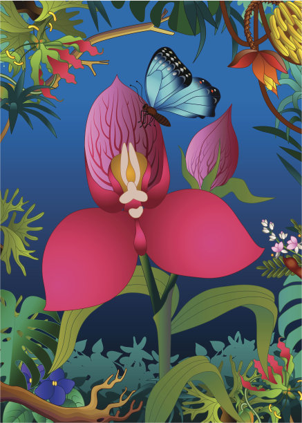 兰花和蝴蝶在丛林里图片下载