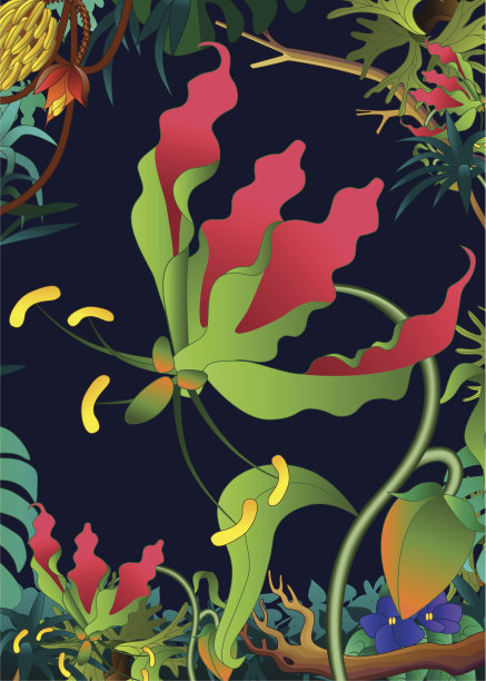 丛林中的火焰百合图片下载