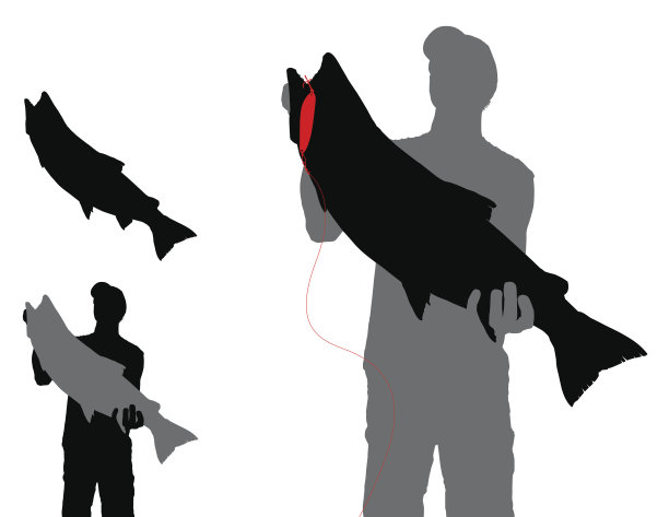 鳟鱼与诱饵和渔夫剪影图片下载