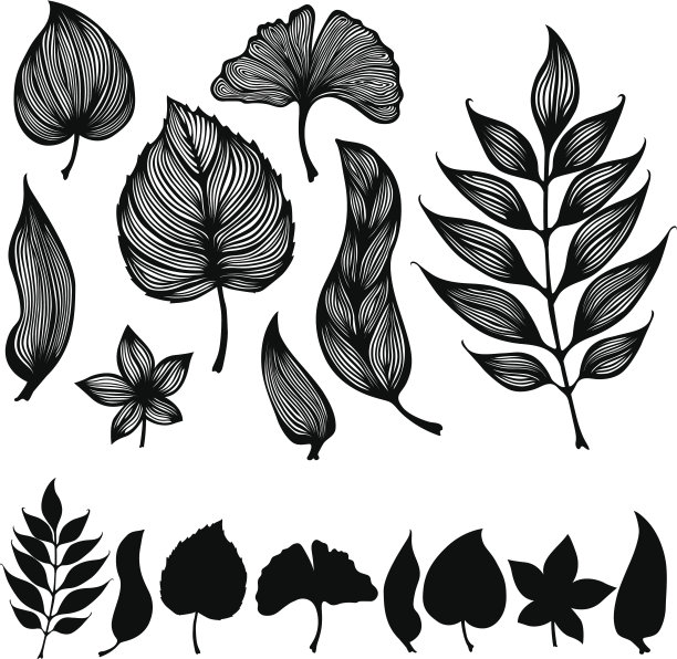 纠结的叶子图片下载