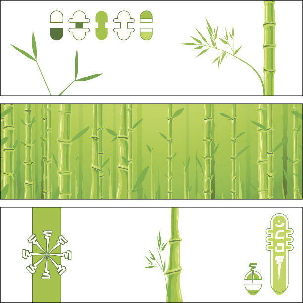 绿色的竹子图片下载