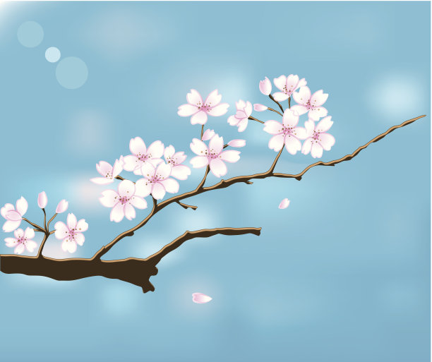 蓝天下的樱花图片下载