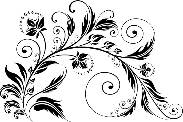 花的旋度图片下载