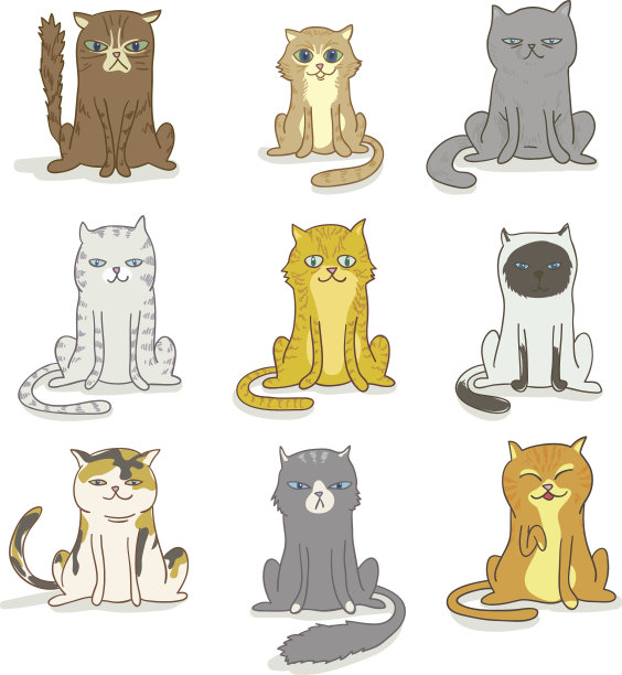 可爱的猫插图图片下载