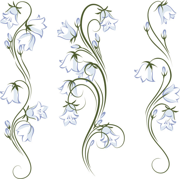 风铃草图片下载