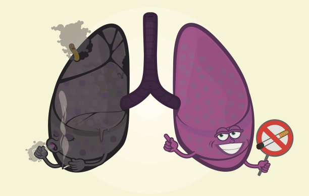 人类的肺图片下载