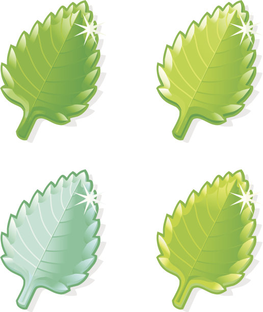 薄荷糖。图片下载