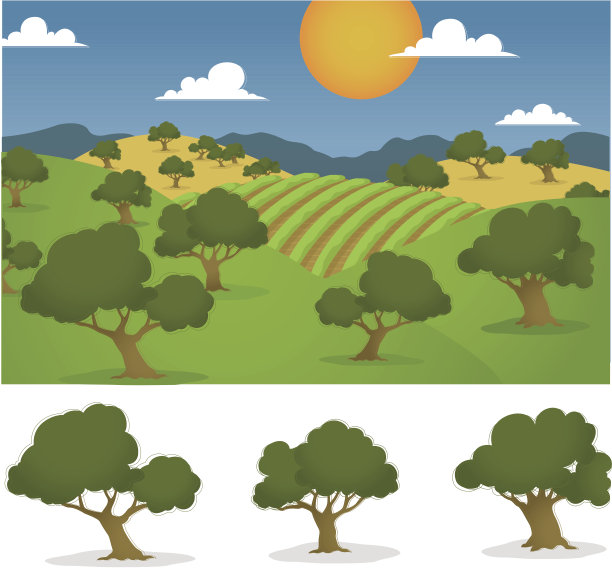 加州葡萄酒的国家图片下载