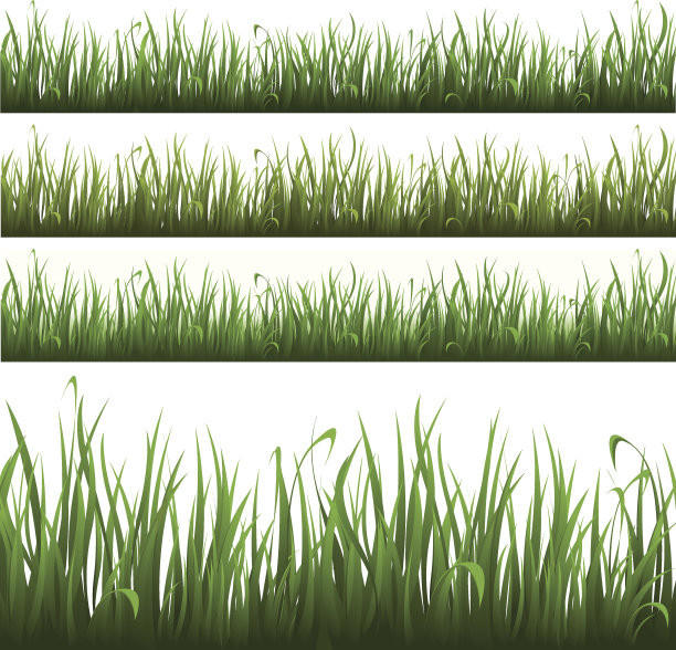 三种绿色的草图片下载