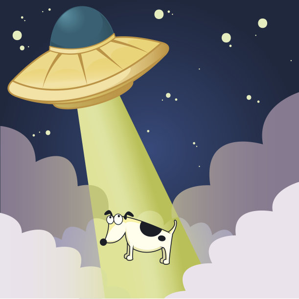 被绑架的狗图片下载